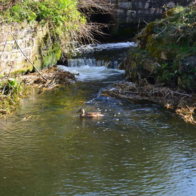 Previsões do tempo com lindas fotos de DarekCho