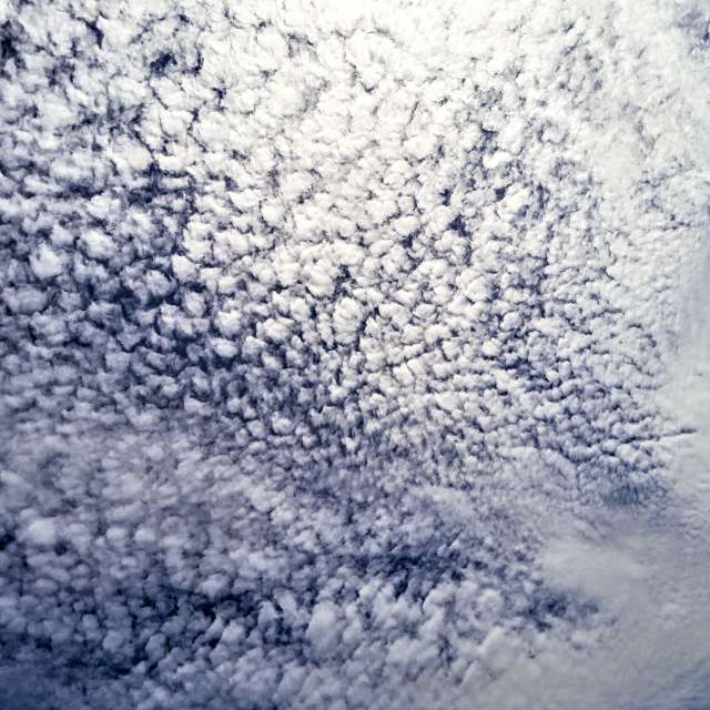 天气预报，带Wiesiek精美的照片