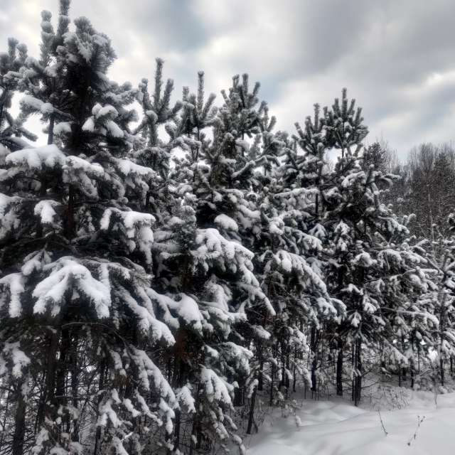 世界的天气照片. 天气预报，带Lara357精美的照片