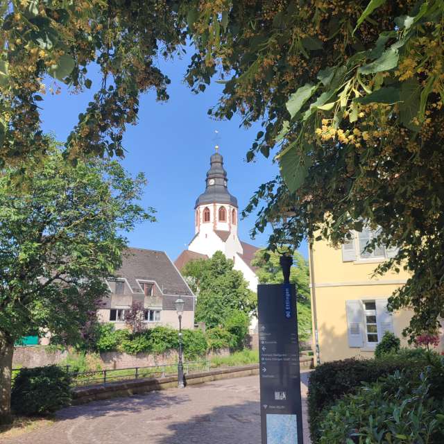 High. Weather forecasts with beautiful photos by Tercis Photos in Ettlingen
