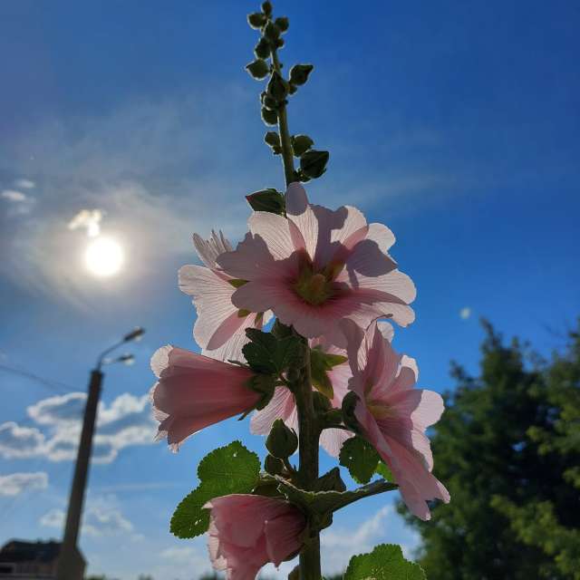 Weather Photos in World. Weather forecasts with beautiful photos by Iryna