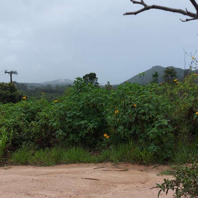 Wettervorhersagen mit schönen Fotos von catiams