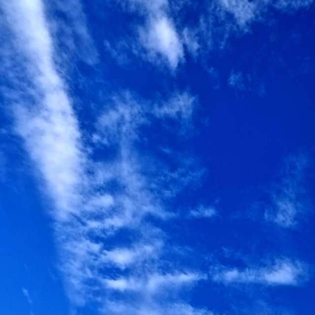 Fotos Lutador. Previsões do tempo com lindas fotos de Wen-ya Huang em Kaohsiung City