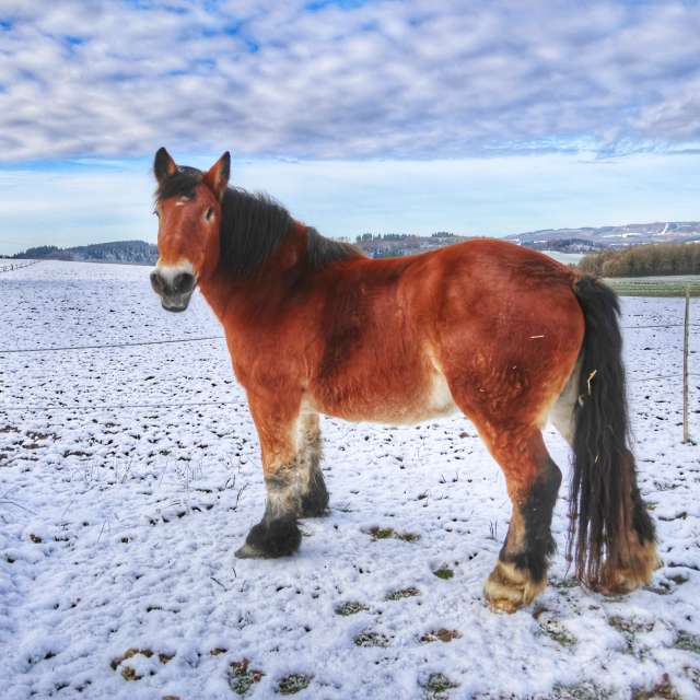 Lotti5507の美しい写真による天気予報