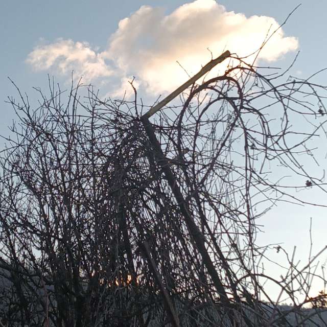 Прогнозы погоды с чудесными фотографиями, сделанными YanMir