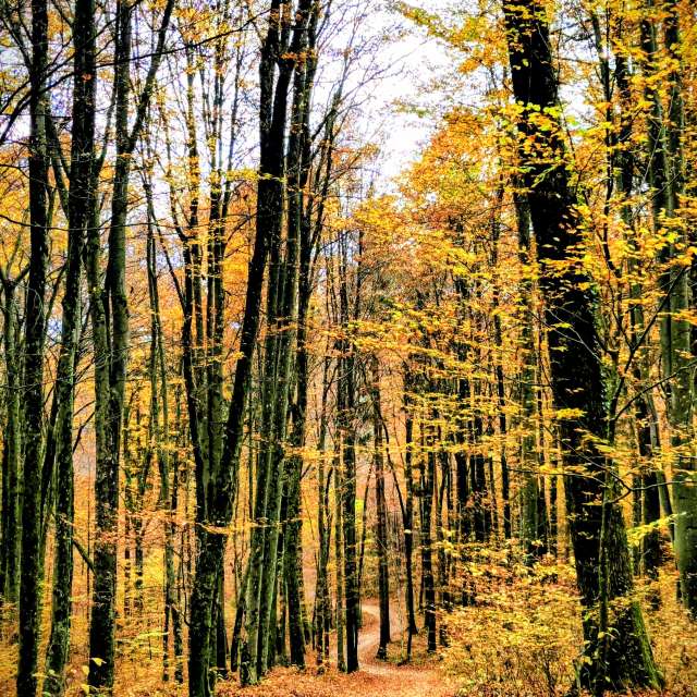 Weather forecasts with beautiful photos by Anamarija