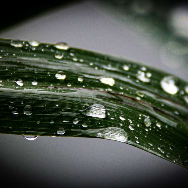 Прогнозы погоды с чудесными фотографиями, сделанными derlops