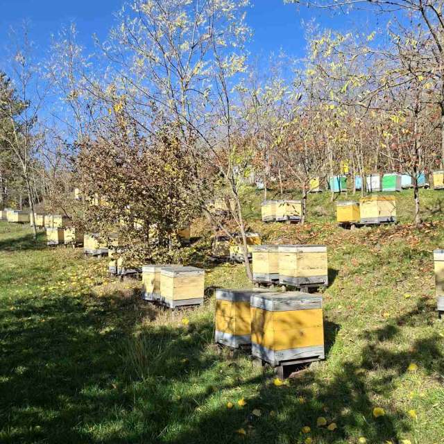 Pasture. Weather forecasts with beautiful photos by Sonia Photos in World