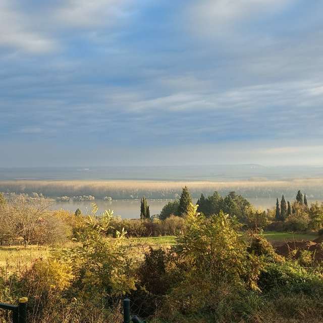 天气预报，带Boban精美的照片