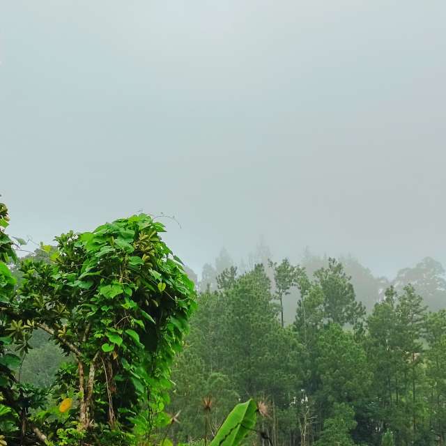 Previsões do tempo com lindas fotos de lcruz23