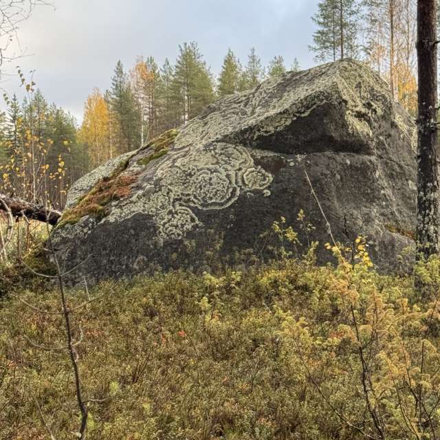 Eating. Weather forecasts with beautiful photos by JuhaK Photos in Kuhmo