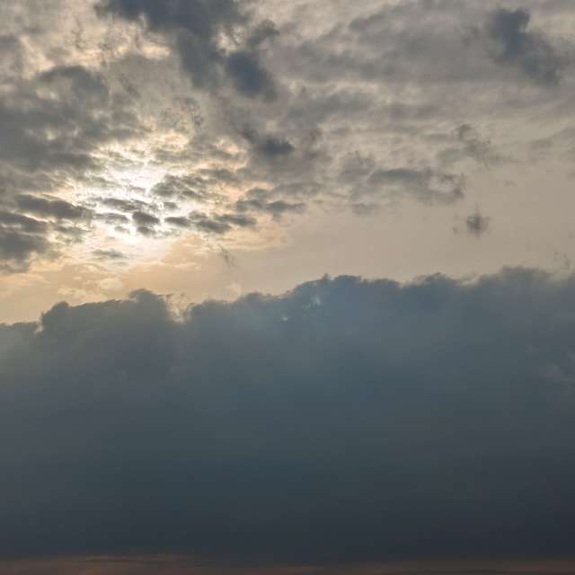 Fotos A lei. Previsões do tempo com lindas fotos de Михаил Бондаренко em Pionerskiy