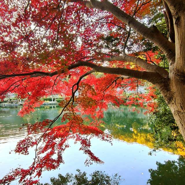 Прогнозы погоды с чудесными фотографиями, сделанными hachiperia