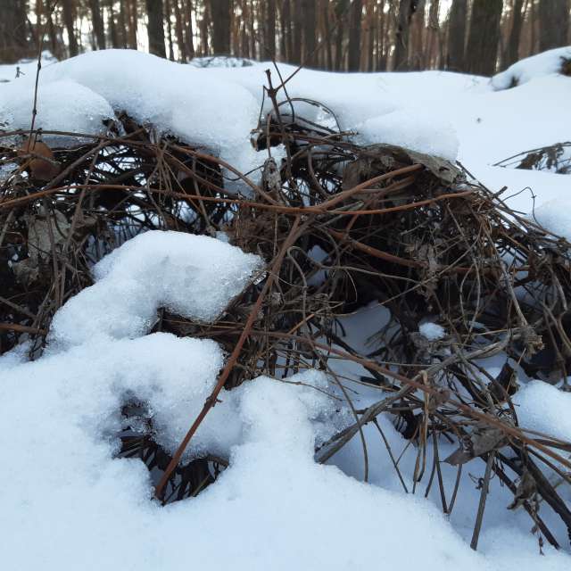 Open air. Weather forecasts with beautiful photos by Iryna Photos in Kharkiv