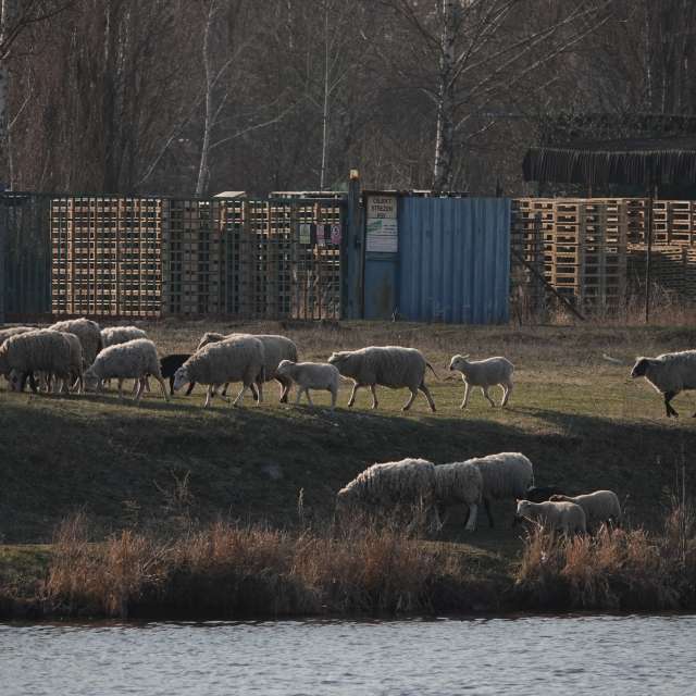 Fotos Grama. Previsões do tempo com lindas fotos de Vasek325 em Praha 12