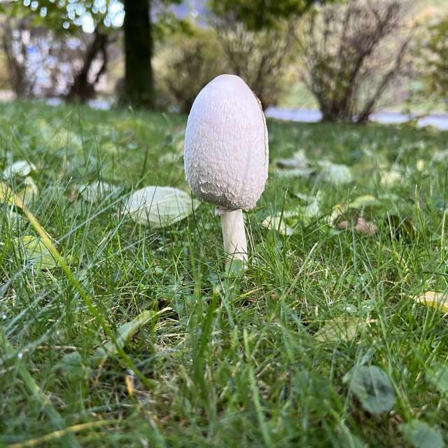 Photos météo à Monde. Prévisions météo avec de superbes photos de SwissEloi