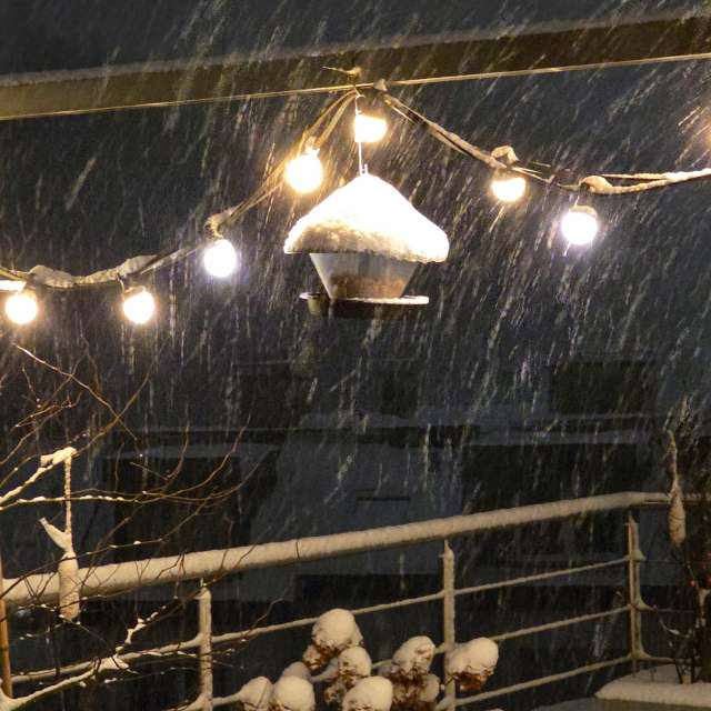 Wire. Weather forecasts with beautiful photos by Seni Photos in Velbert