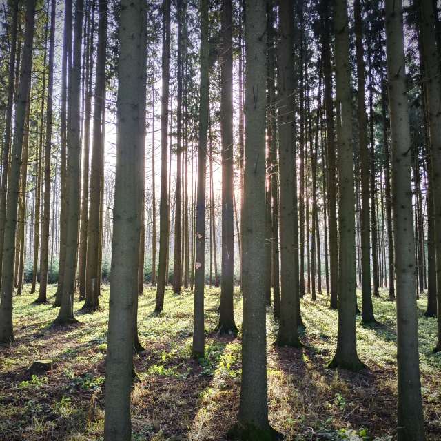 天气预报，带Aleksei精美的照片