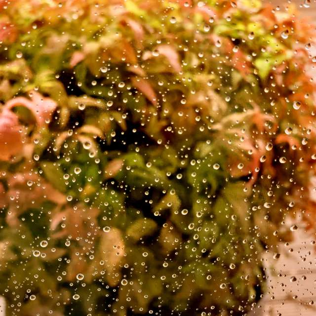 Fotos Pizza. Previsões do tempo com lindas fotos de Seni em Velbert