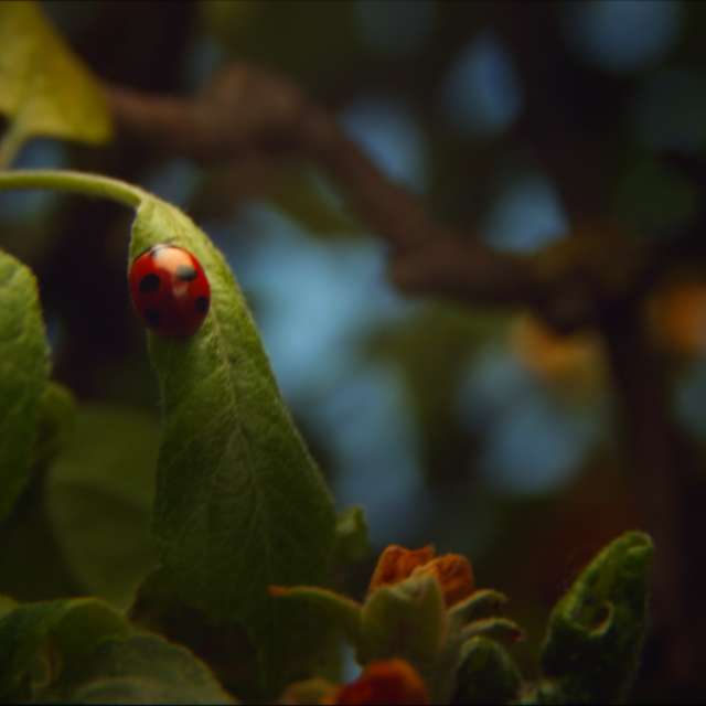 Pronósticos del tiempo con hermosas fotos de RuslanLeuliukh