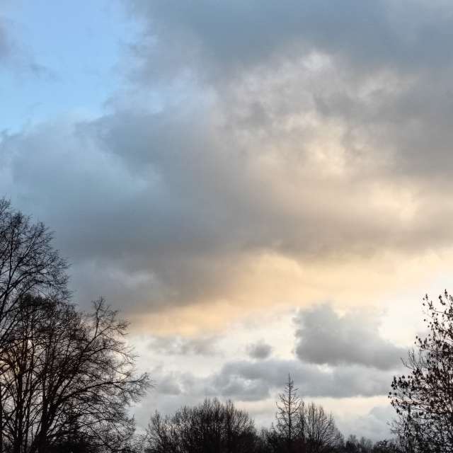 Previsões do tempo com lindas fotos de Madlen