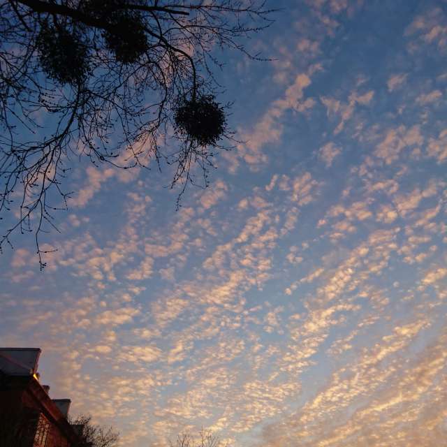 Stop. Weather forecasts with beautiful photos by Михаил Гавриков Photos in Kharkiv