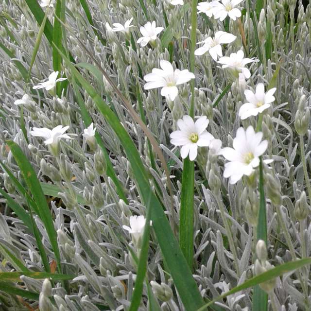 Weather. Weather forecasts with beautiful photos by urashm Photos in Khmelnytskyi
