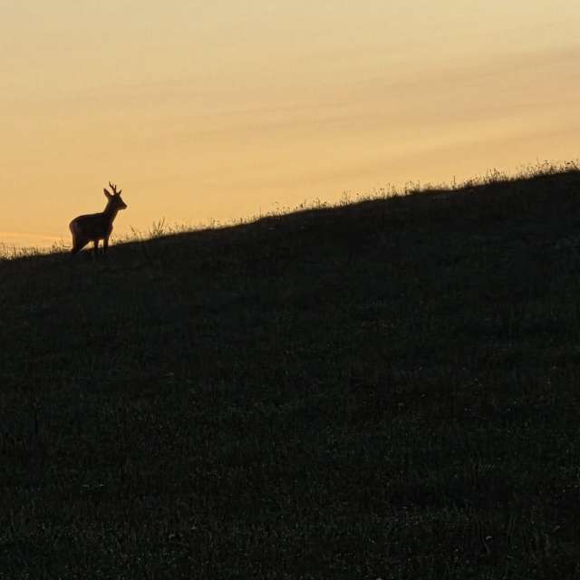 Фотографии Погоды в Мир. Прогнозы погоды с чудесными фотографиями, сделанными Brtd
