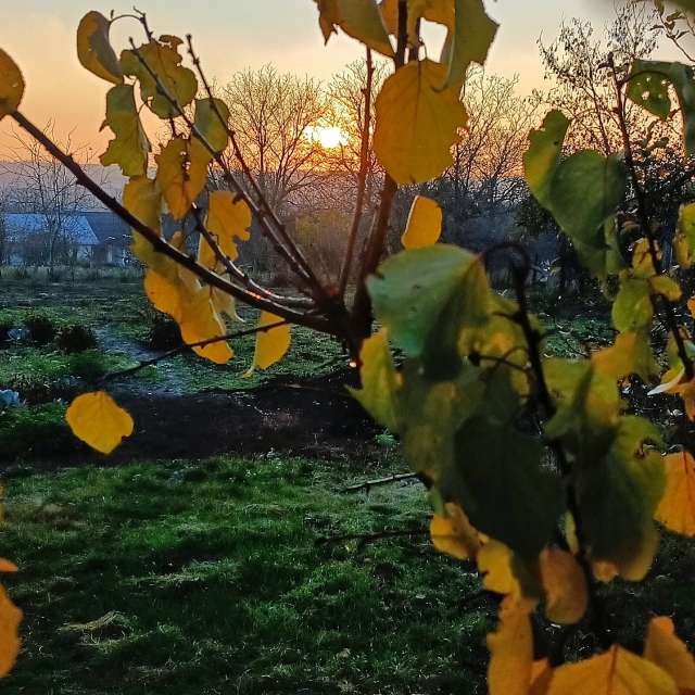 People. Weather forecasts with beautiful photos by VitalyGURA Photos in World