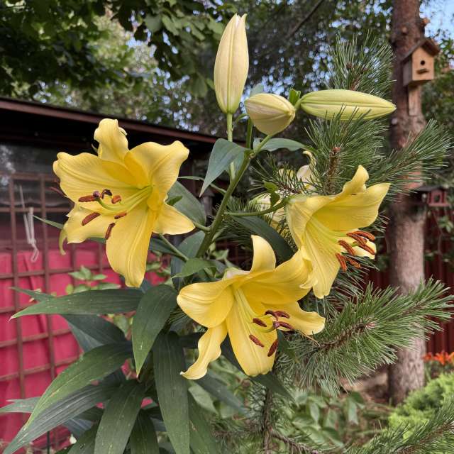 Dự báo thời tiết với những bức ảnh đẹp của mas777777