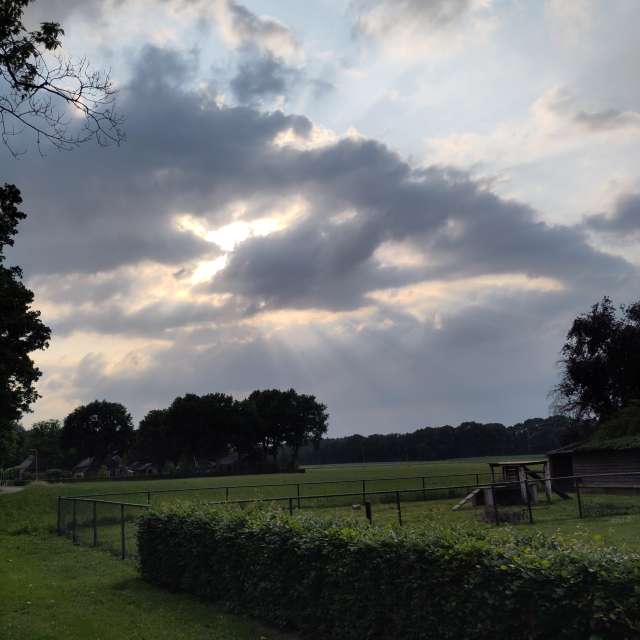 Prévisions météo avec de superbes photos de Rosaja