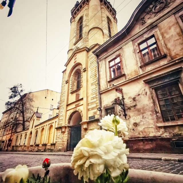 Frau. Wettervorhersagen mit schönen Fotos von Terraza74 Fotos Lwiw
