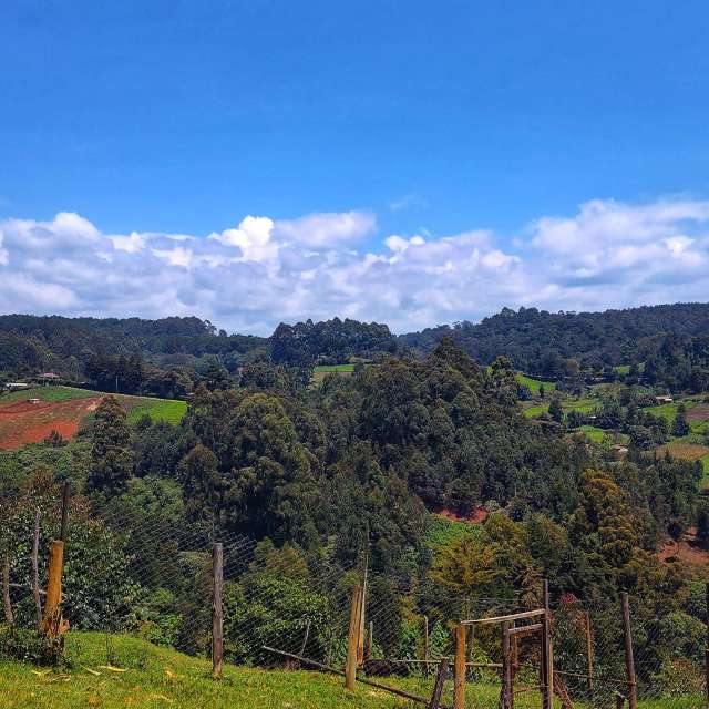 Wakarimaの美しい写真による天気予報
