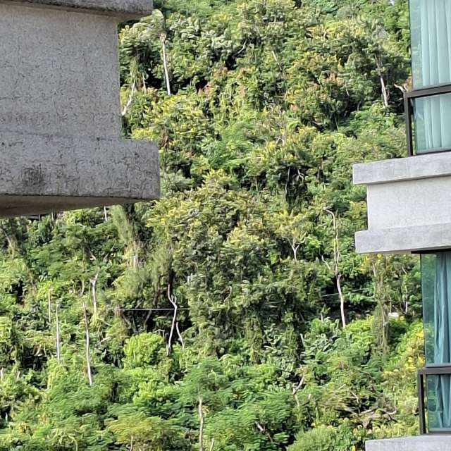 Fotos Pedra. Previsões do tempo com lindas fotos de Wen-ya Huang em Kaohsiung City