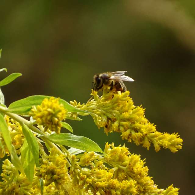 Sitting. Weather forecasts with beautiful photos by Михаил Гавриков Photos in Kharkiv