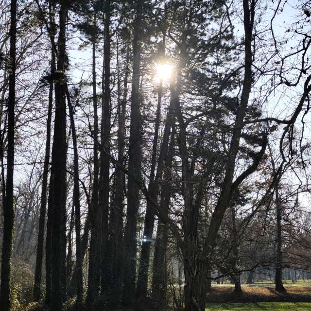 IvanaBの美しい写真による天気予報