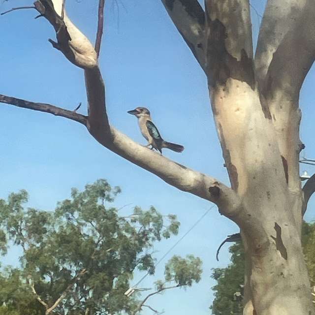 Prévisions météo avec de superbes photos de WelshAussie