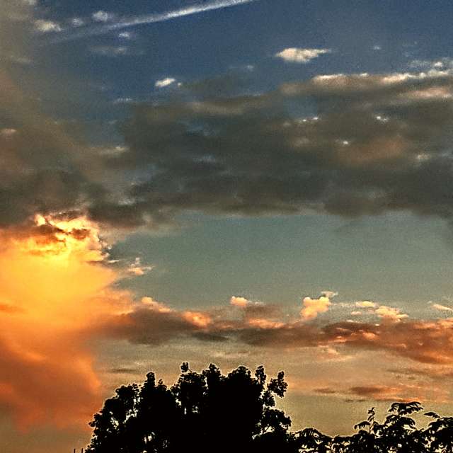 Background. Weather forecasts with beautiful photos by Wiesiek Photos in Gdansk