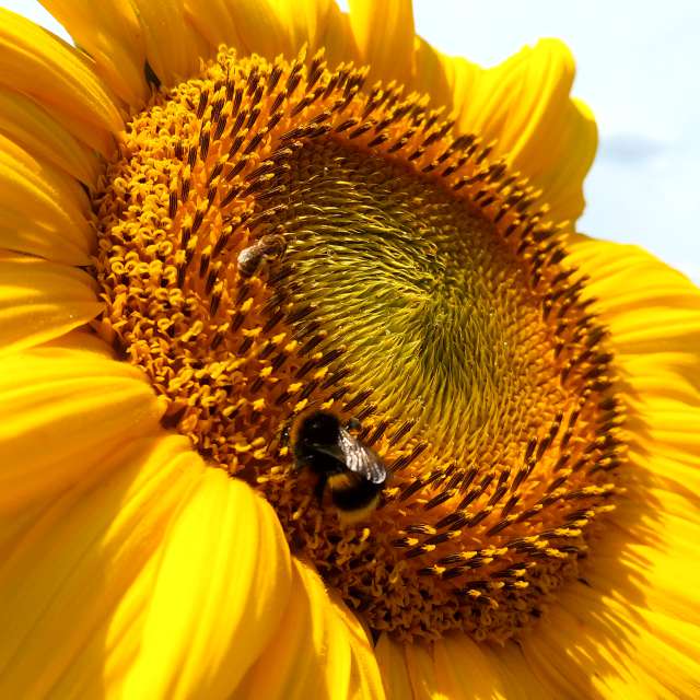 Weather Photos in World. Weather forecasts with beautiful photos by BHE6E