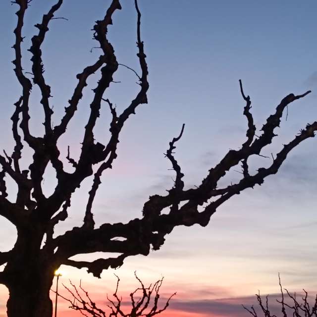 Prévisions météo avec de superbes photos de Am-b