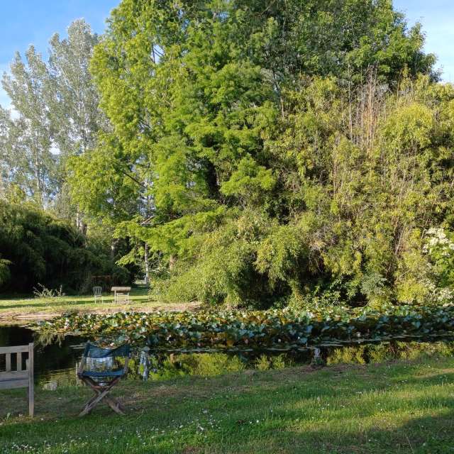 Weather forecasts with beautiful photos by Ermanno