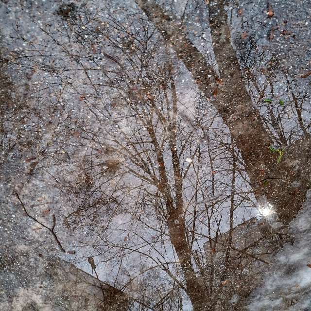 Weather forecasts with beautiful photos by Iryna