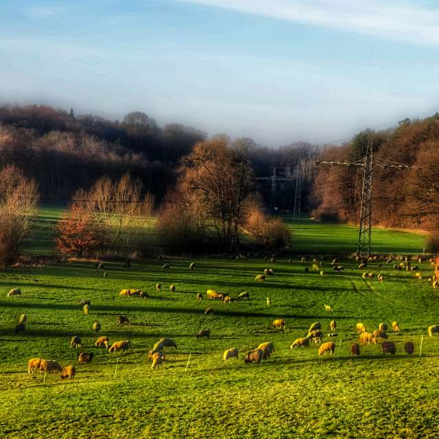 Previsões do tempo com lindas fotos de Gweiland