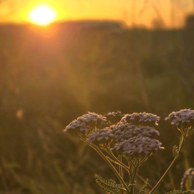 Wettervorhersagen mit schönen Fotos von Hela