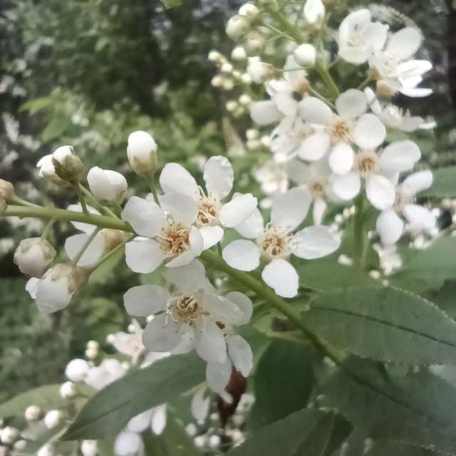 Weather Photos in World. Weather forecasts with beautiful photos by Amanda_and_Valdemar_Che