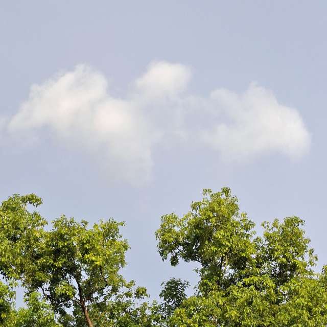 Fotos Jogando. Previsões do tempo com lindas fotos de Wen-ya Huang em Kaohsiung City