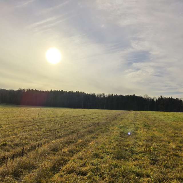 天气预报，带Aleksei精美的照片