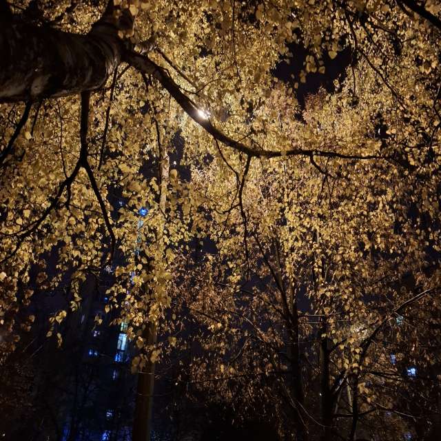 Weather Photos in . Weather forecasts with beautiful photos by Iryna