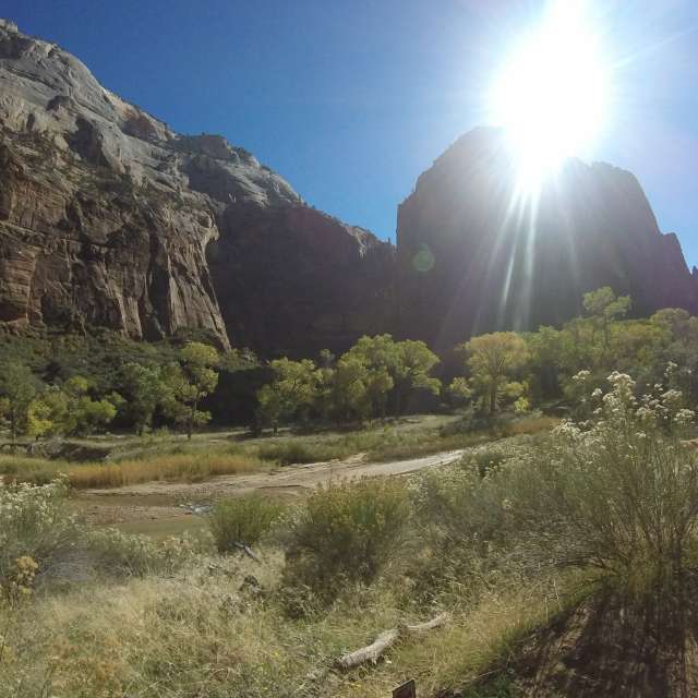 Walking. Weather forecasts with beautiful photos by DebG Photos in World