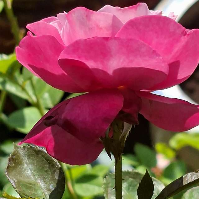 Photos Remplissage. Prévisions météo avec de superbes photos de Wen-ya Huang de Kaohsiung